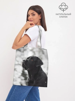 Шоппер база / Лабрадор Марк