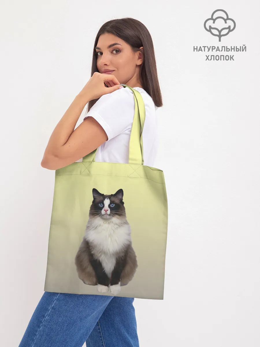 Шоппер база / персидская пушистая кошка