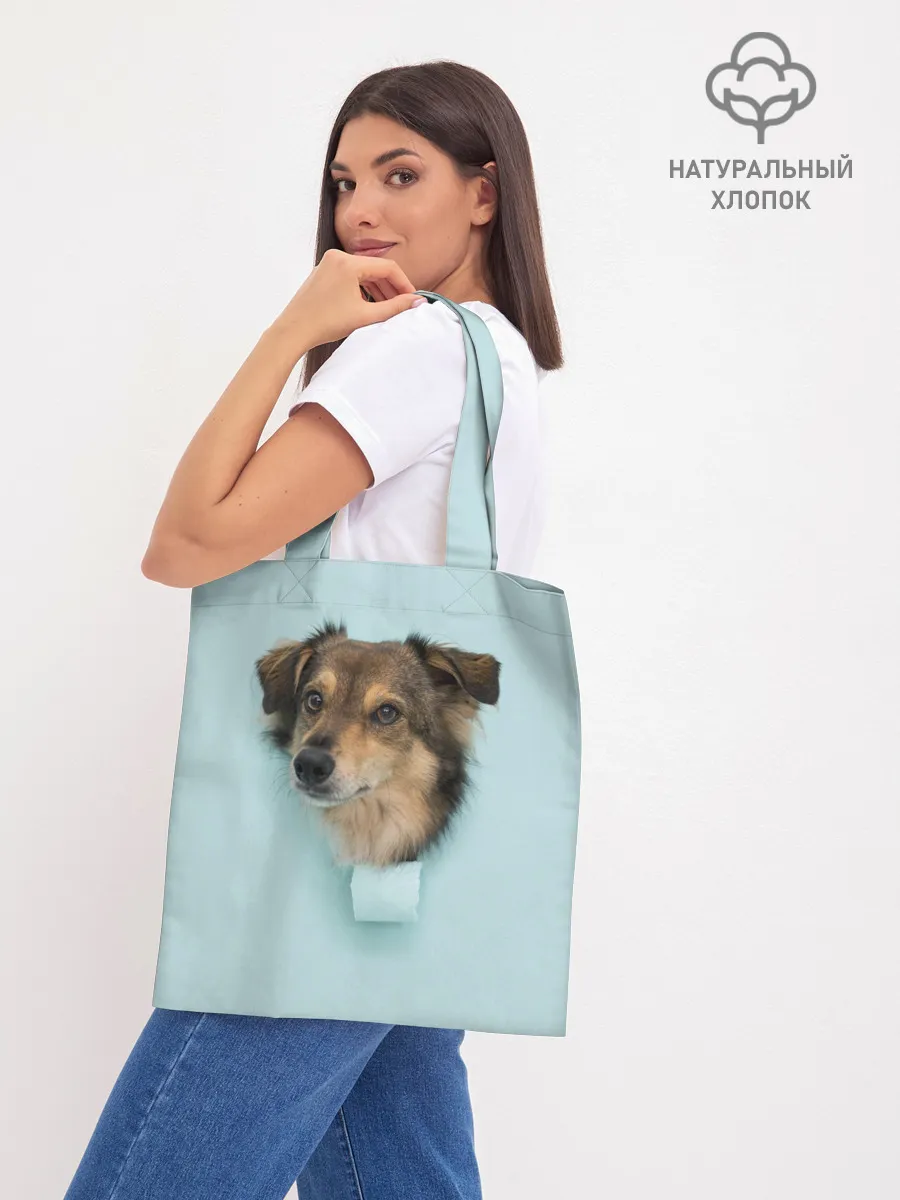 Шоппер база / Беспородная Собака дворняга / A Dog