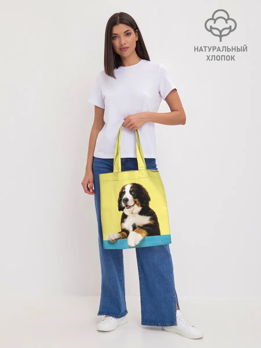 Шоппер база / Бернский зенненхунд, Berner Sennenhund