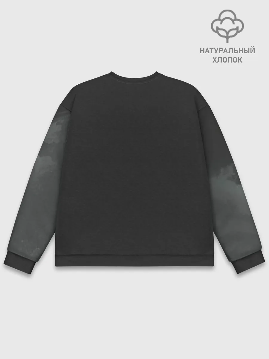 Мужской свитшот база хлопок / Лошадь и угли