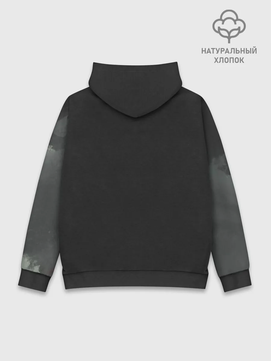 Худи мужской база хлопок / Лошадь и угли