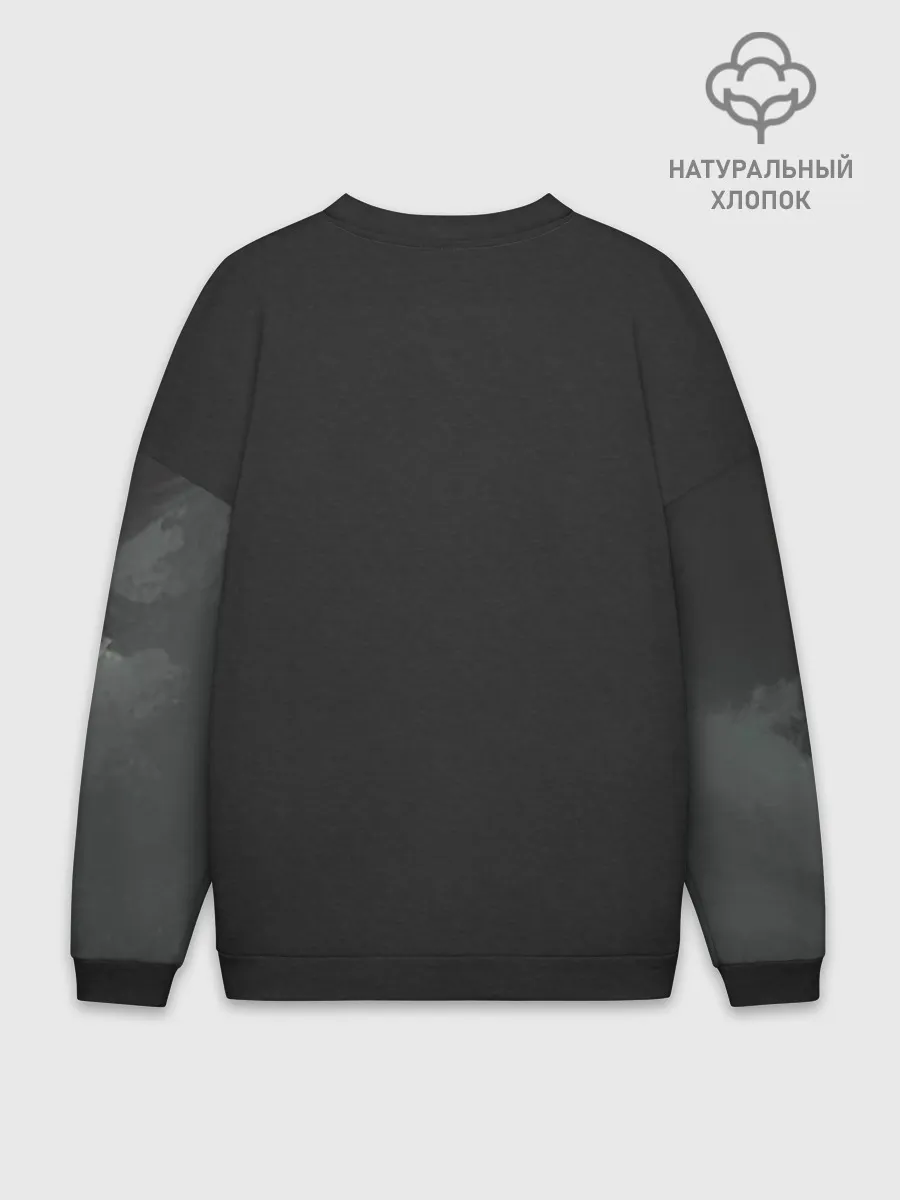 Мужской свитшот оверсайз хлопок / Лошадь и угли