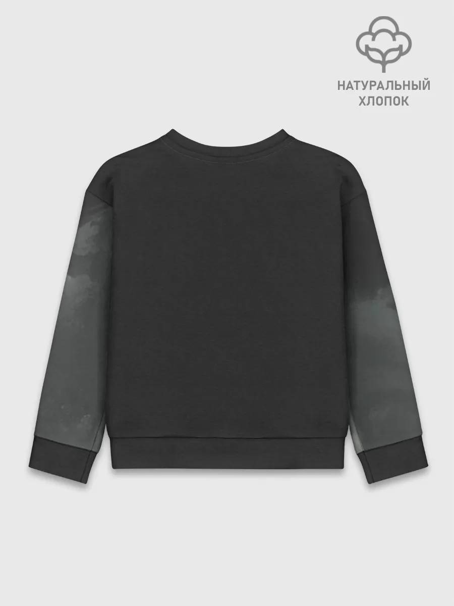 Детский свитшот хлопок / Лошадь и угли