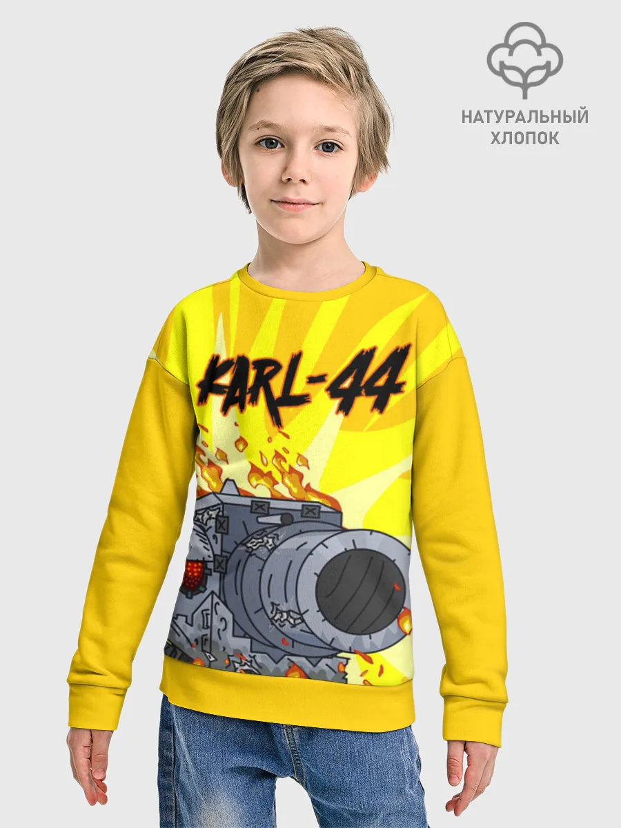 Детский свитшот хлопок / Карл 44