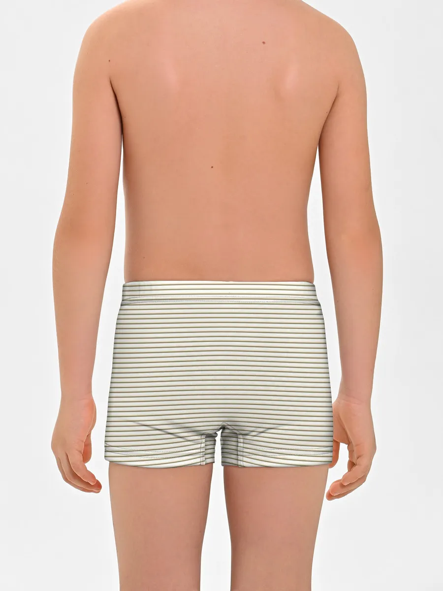 Мальчиковые трусы / Зелёная приглушённая полоска