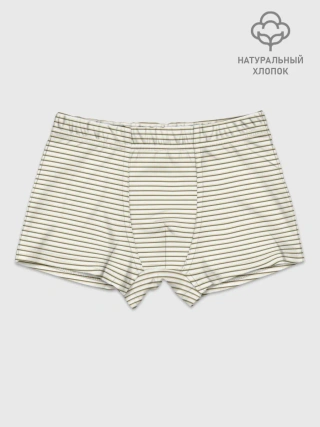 Мальчиковые трусы / Зелёная приглушённая полоска