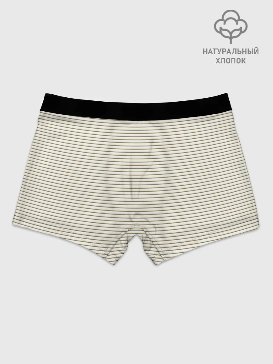 Мужские боксеры / Зелёная приглушённая полоска