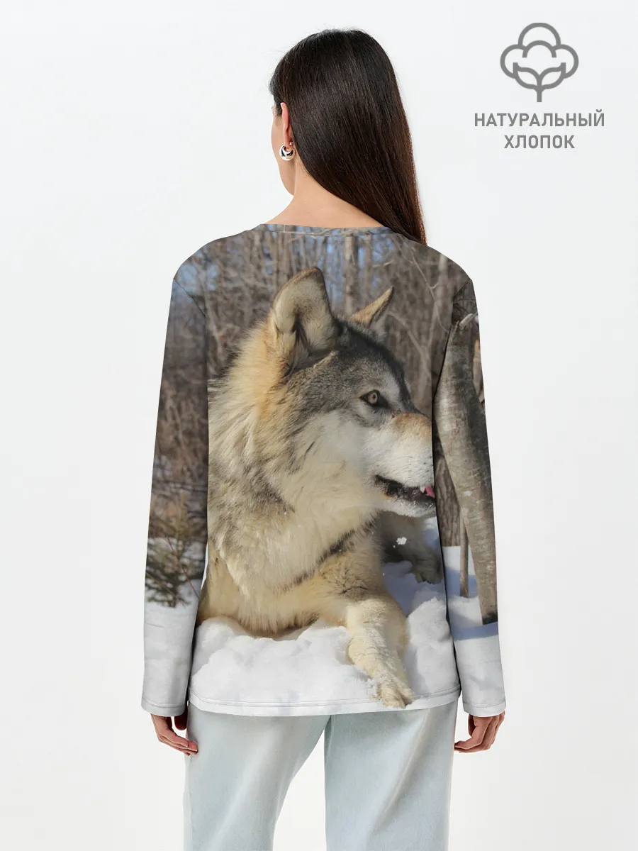 Лонгслив женский. Хлопок / Волк лежит на снегу