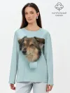 Лонгслив женский. Хлопок / Беспородная Собака дворняга / A Dog