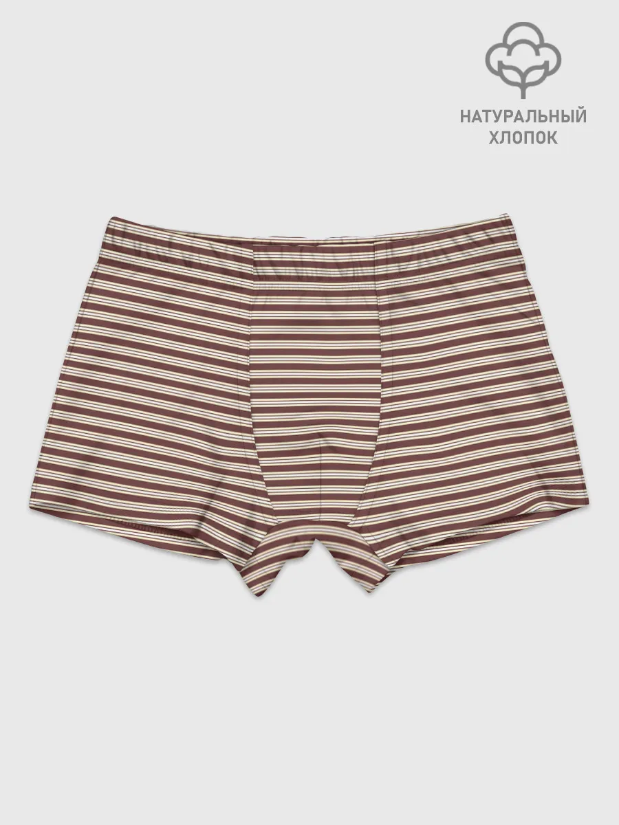 Мальчиковые трусы / Полоска Ретро brown