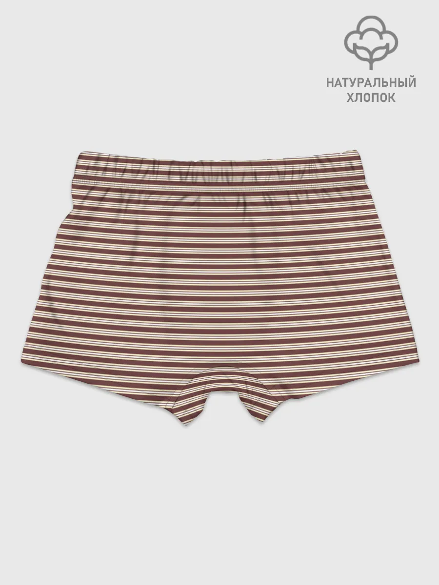 Мальчиковые трусы / Полоска Ретро brown
