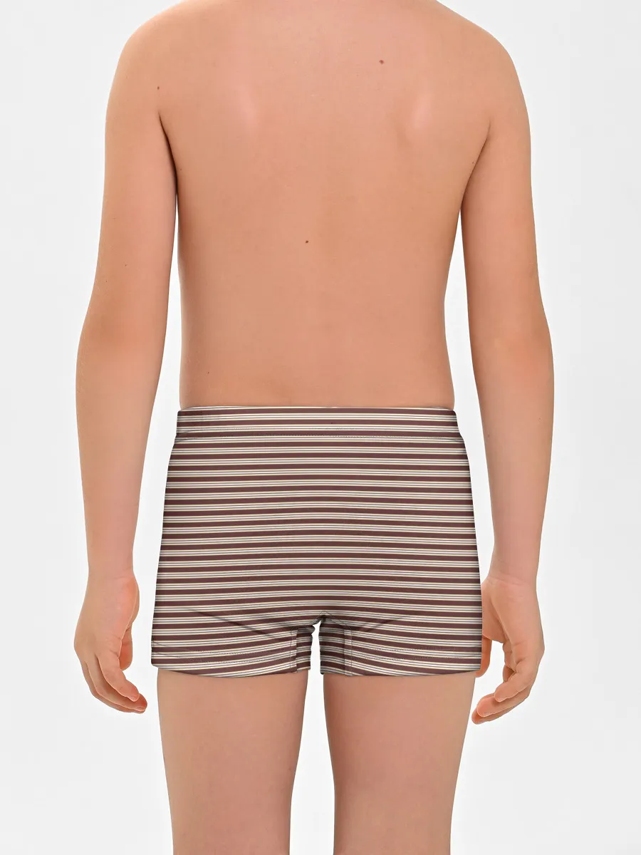 Мальчиковые трусы / Полоска Ретро brown