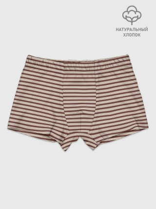Мальчиковые трусы / Полоска Ретро brown