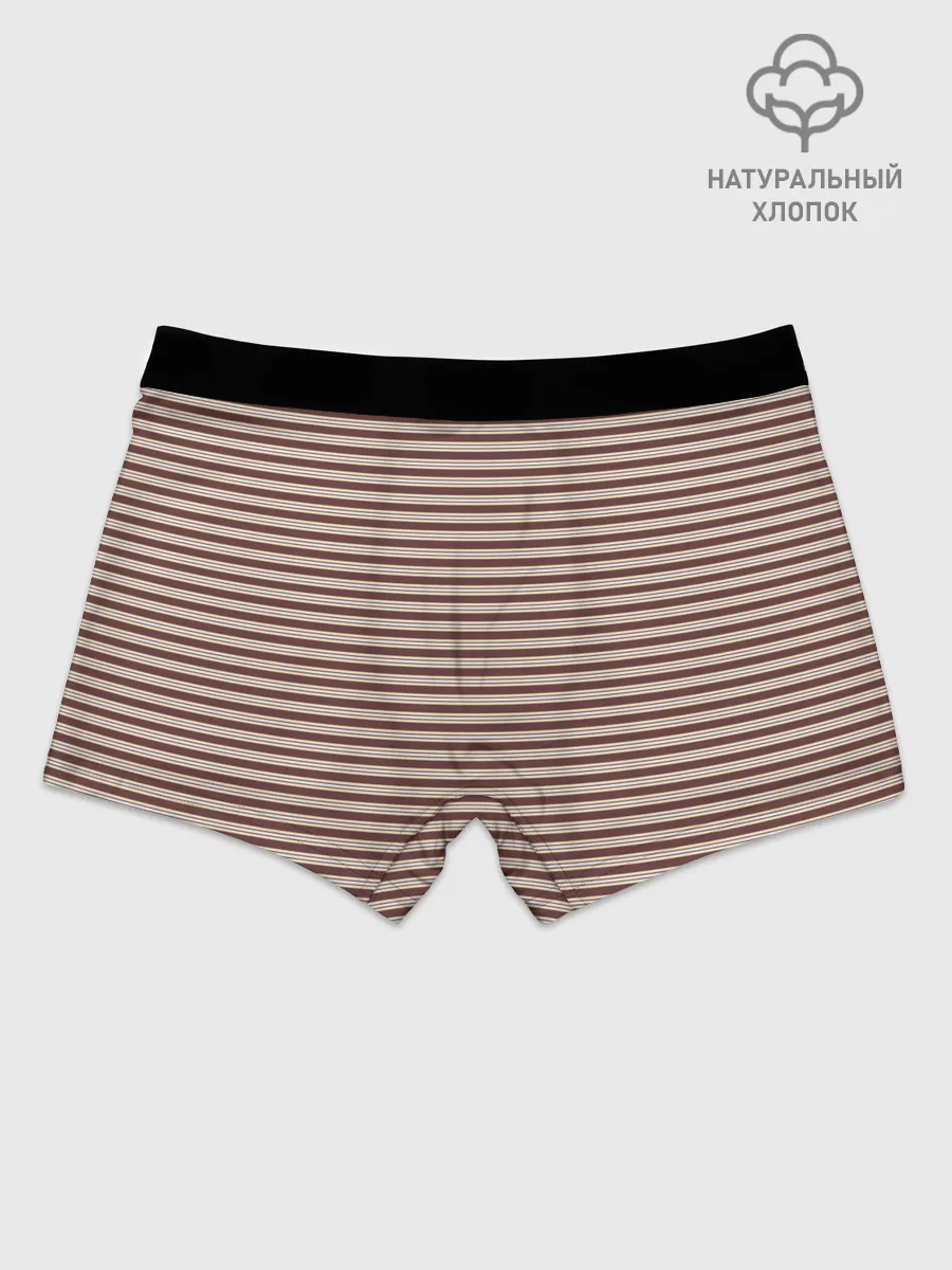 Мужские боксеры / Полоска Ретро brown