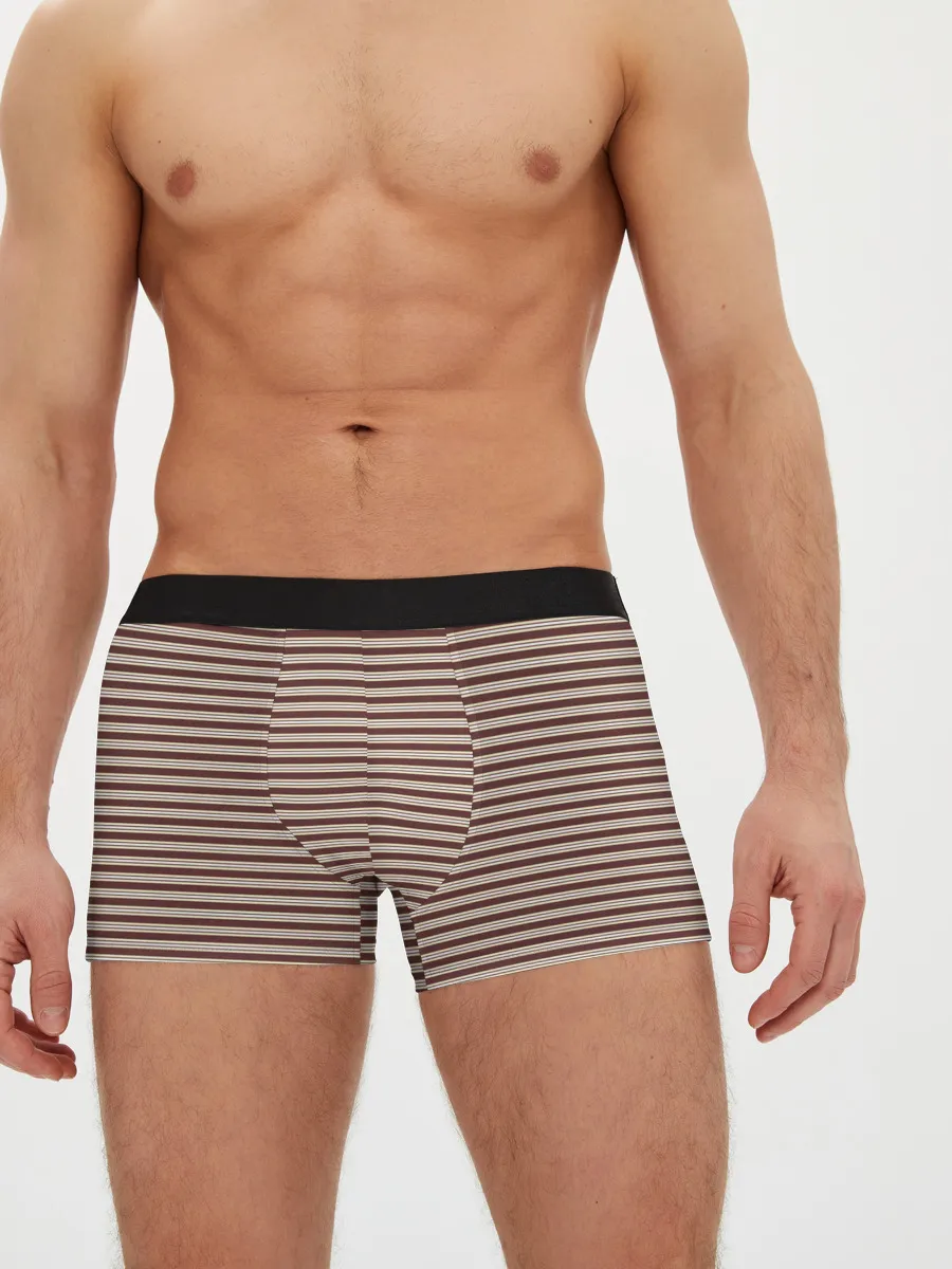 Мужские боксеры / Полоска Ретро brown