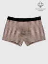 Мужские боксеры / Полоска Ретро brown