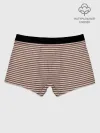 Мужские боксеры / Полоска Ретро brown