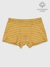 Мальчиковые трусы / Полоска Ретро жёлтая