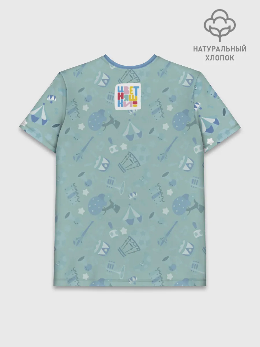 Мужская базовая футболка хлопок / Цветняшки Tiffany