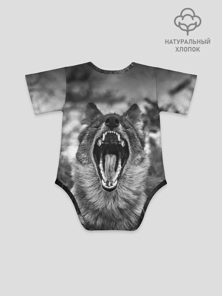 Детское боди / Волчья пасть, зевает