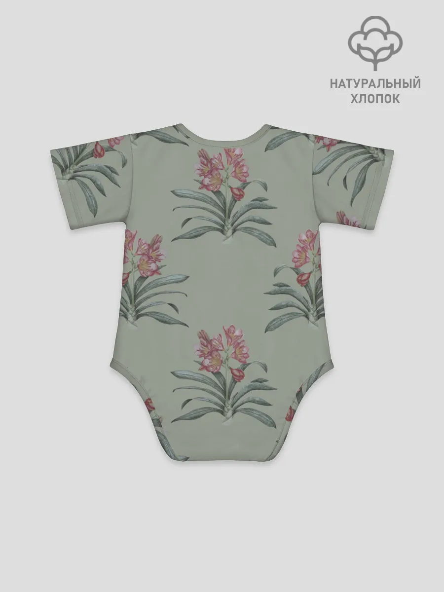 Детское боди / Цветы кливии