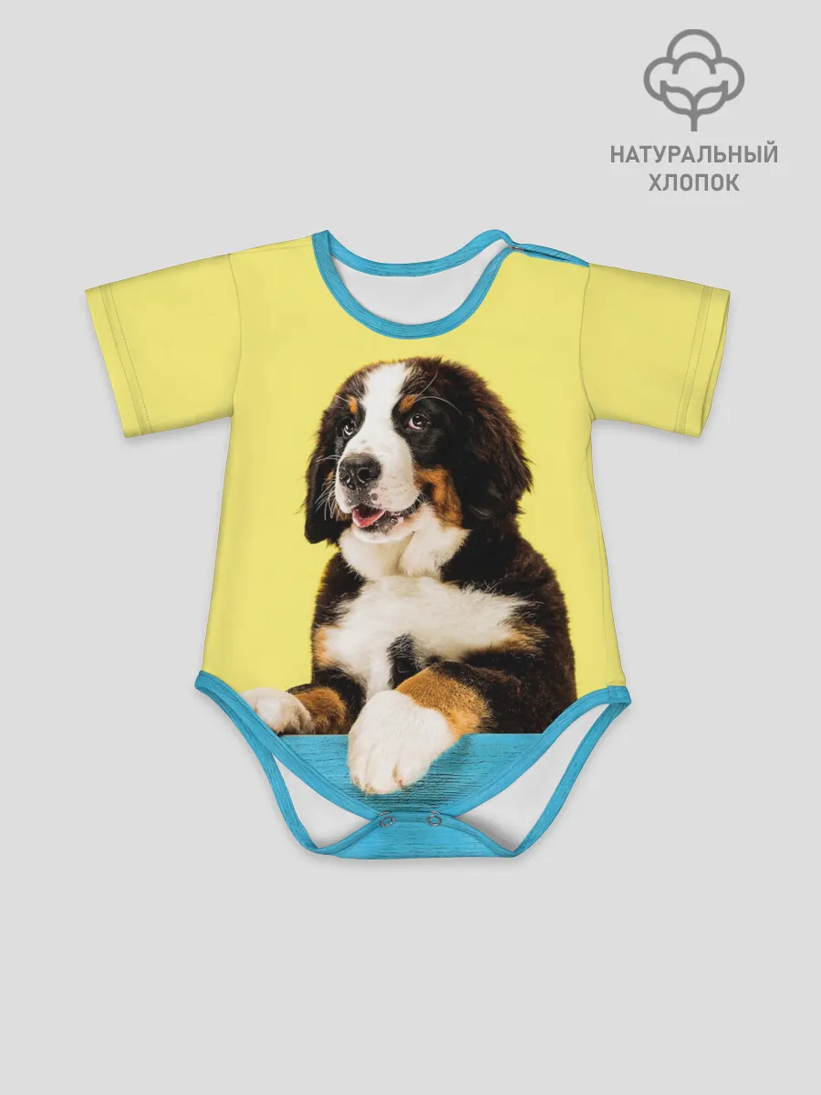 Детское боди / Бернский зенненхунд, Berner Sennenhund