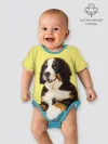 Детское боди / Бернский зенненхунд, Berner Sennenhund