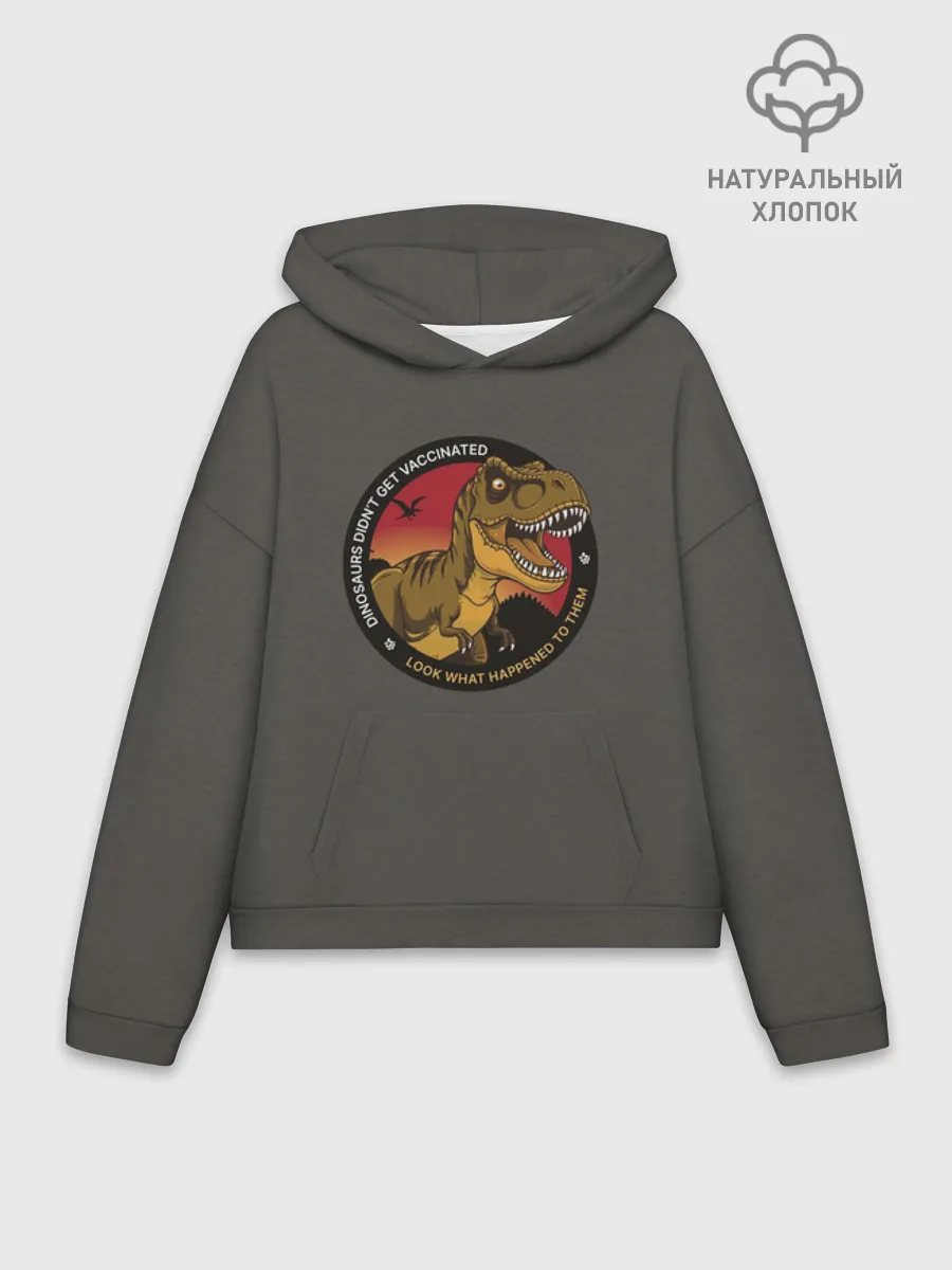 Худи женский оверсайз хлопок / Динозавры_2D_английский