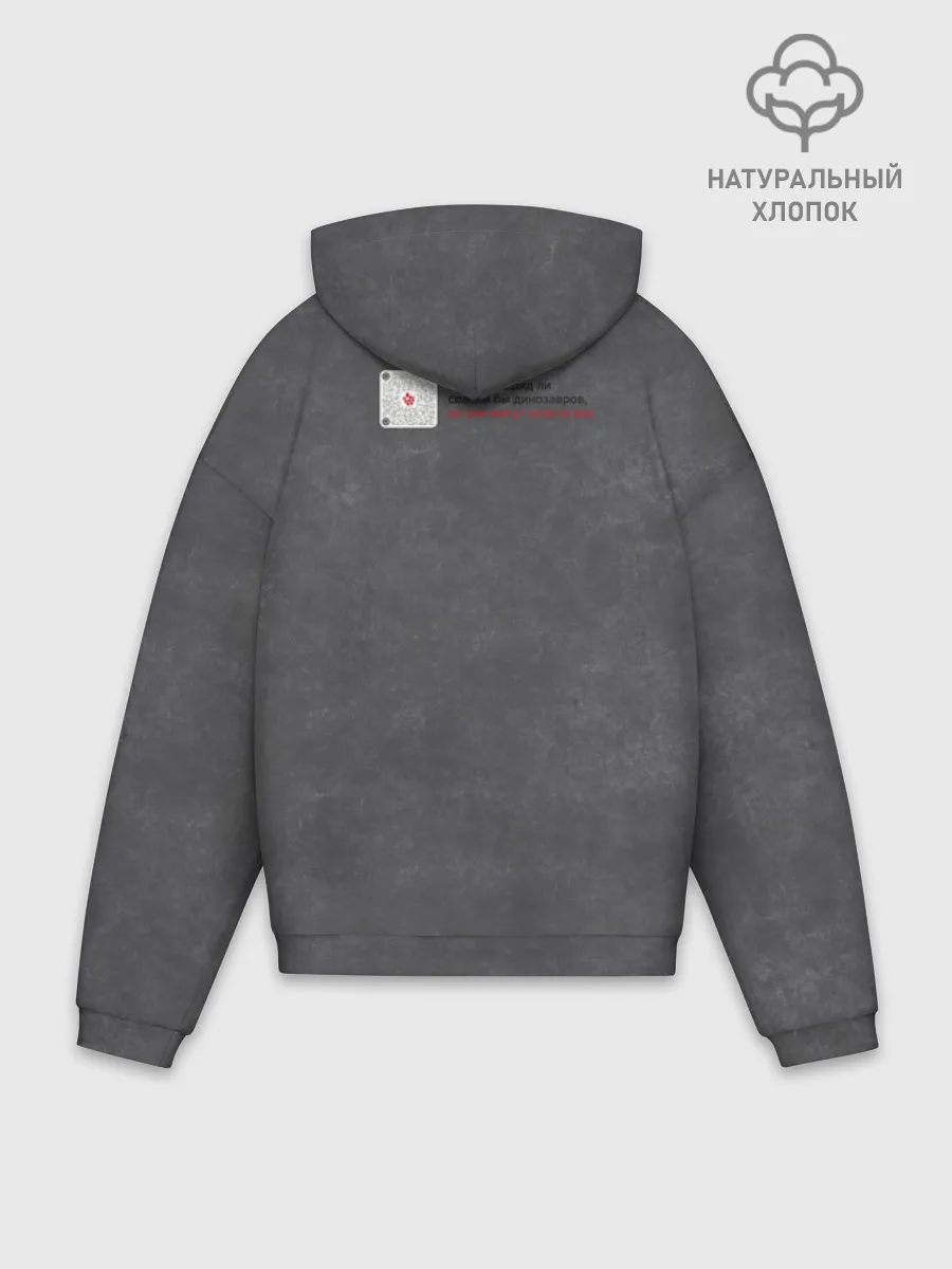Худи мужской оверсайз хлопок / Динозавры_3D_русский