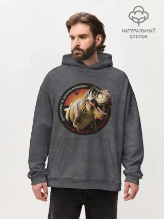 Худи мужской оверсайз хлопок / Динозавры_3D_русский