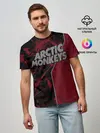 Мужская базовая футболка / Arctic Monkeys (P007_P004ooo1654439, P004ooo1654439)