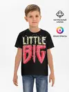 Детская базовая футболка / Little Big