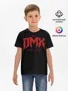Детская базовая футболка / DMX RIP