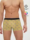Мужские трусы боксеры / Еноты паттерн