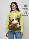 Женское худи / Лиса на траве